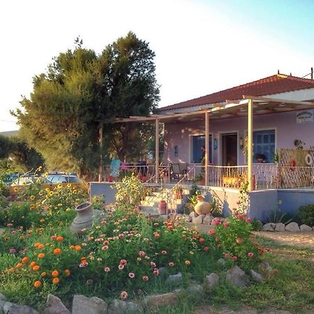 Aegeanheaven Villa Skala Eresou Exterior photo